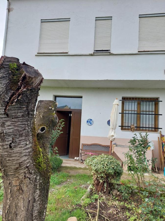 Casa Maysa Cacabelos (Leon)